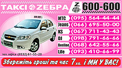 vizitka600600 250